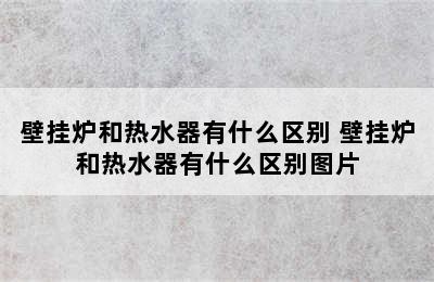 壁挂炉和热水器有什么区别 壁挂炉和热水器有什么区别图片